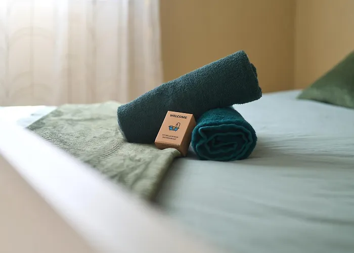 Appartement Cosy Et Charme Au Coeur De Besancon